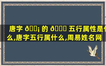 唐字 🐡 的 🐛 五行属性是什么,唐字五行属什么,周易姓名网